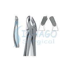 Extracting Forceps - English Pattern